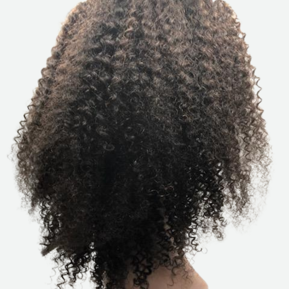 Kinky Curly Virgin Hair Wig
