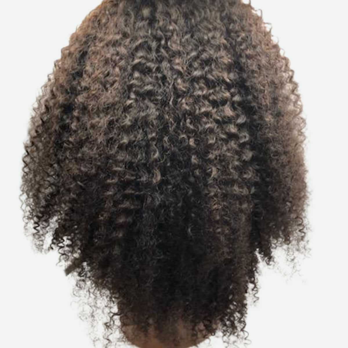 Kinky Curly Virgin Hair Wig