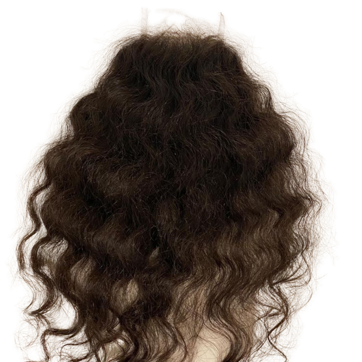 Raw Indian Natural Curly Lace Closure 4 x 4 - Christopher Anthony&#39;s Premium Raw Virgin Hair