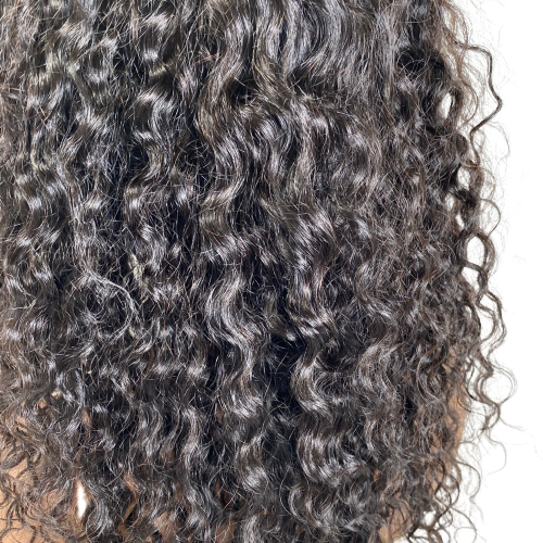 Raw Indian Curly Lace Front Wig